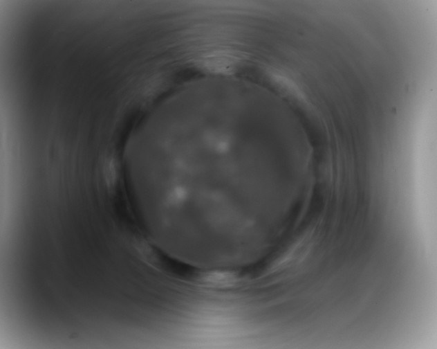 X0000088200081200705292041