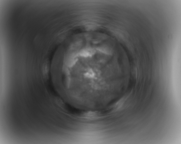 X0000088200082200705292041