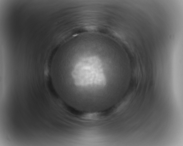 X0000088200084200705292041