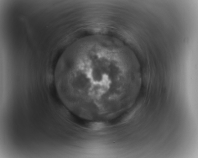 X0000088200085200705292041