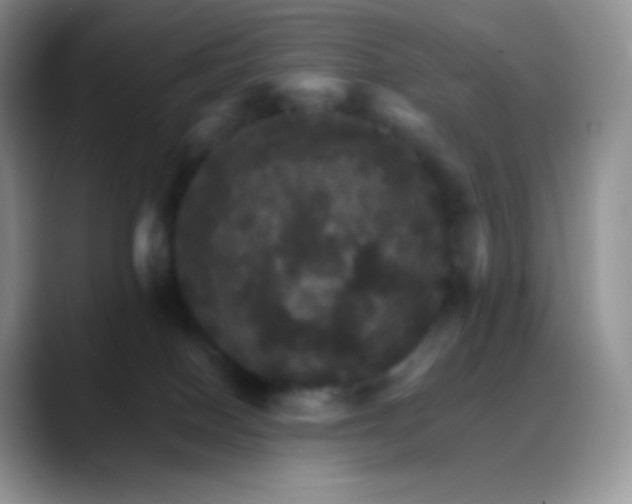 X0000088200086200705292041