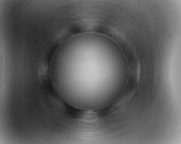 X0000088200087200705292041