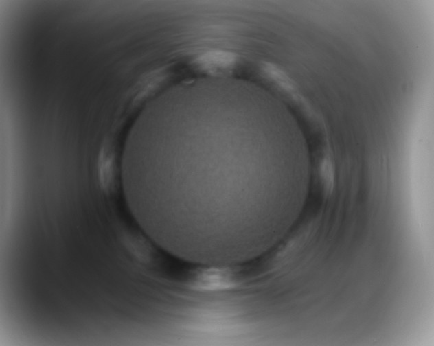 X0000088200088200705292041