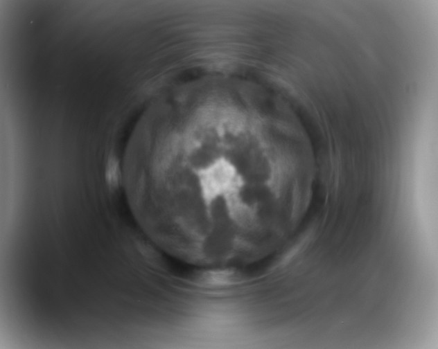 X0000088200089200705292041