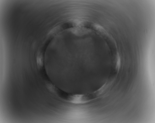 X0000088200090200705292041