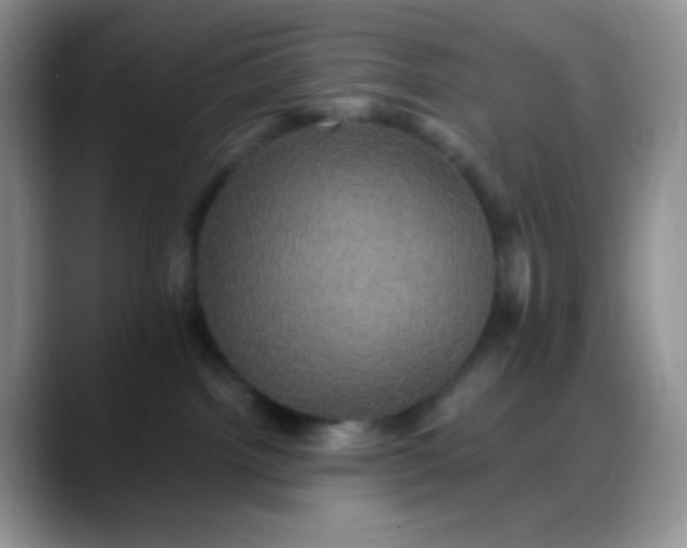 X0000088200092200705292041