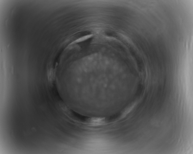 X0000088200093200705292041