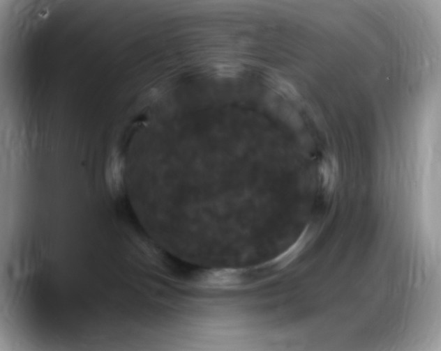 X0000088200094200705292041