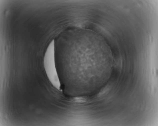 X0000088200095200705292041