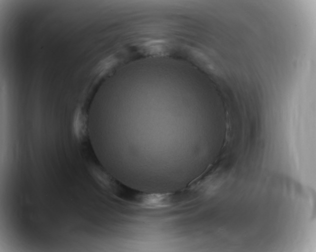 X0000088200096200705292041