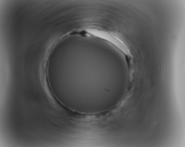 X0000088200097200705292040