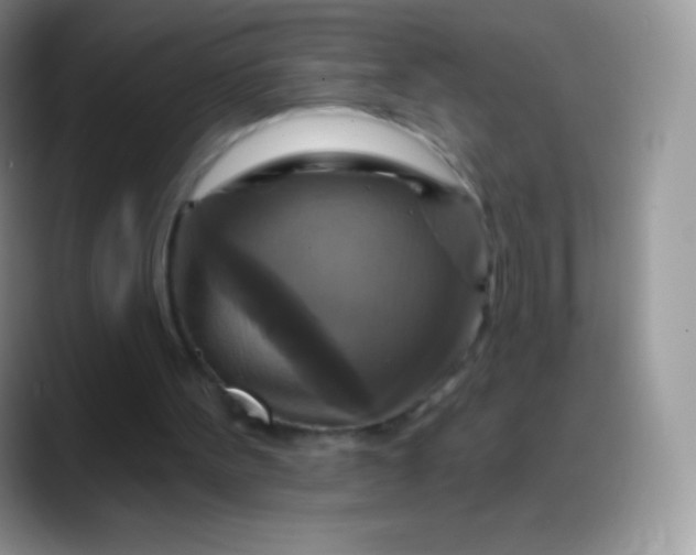 X0000088200099200705292040