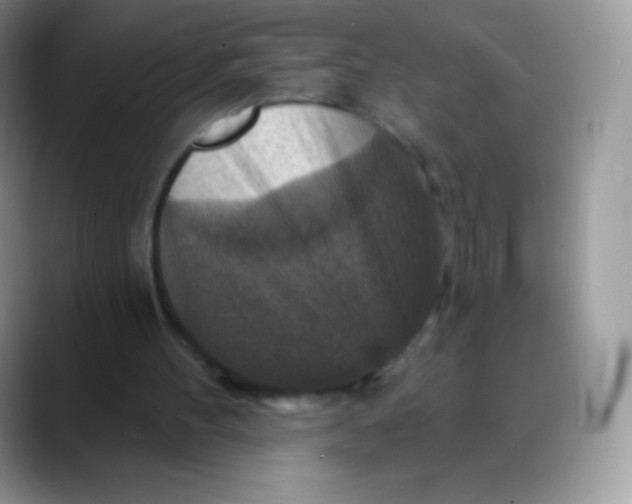 X0000088200100200705292040