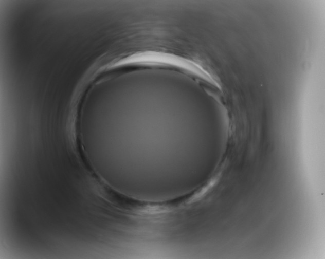 X0000088200101200705292040