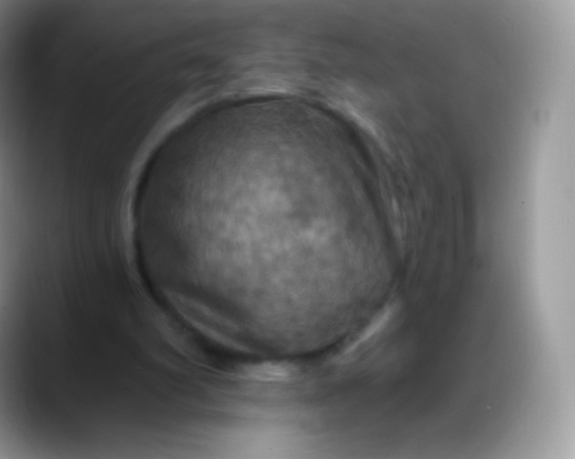 X0000088200102200705292040