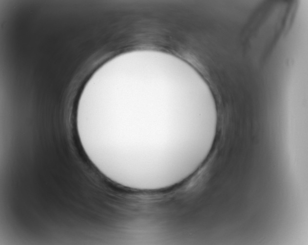 X0000088200103200705292040