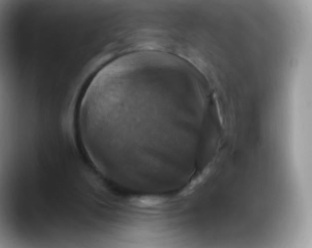 X0000088200104200705292040