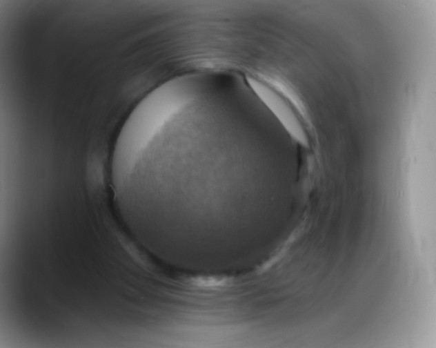 X0000088200105200705292040