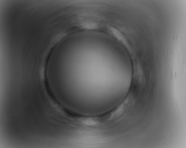 X0000088200106200705292040