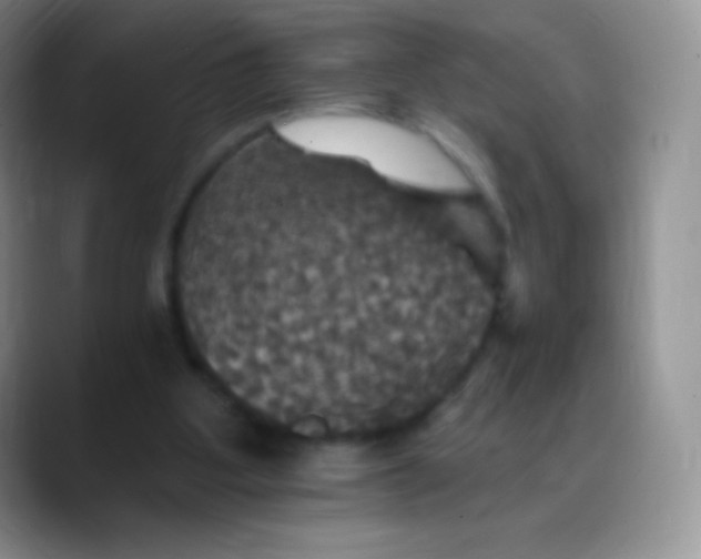 X0000088200107200705292040