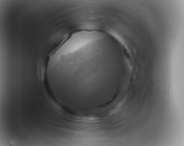 X0000088200109200705292040