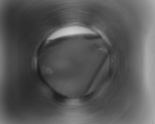 X0000088200110200705292040