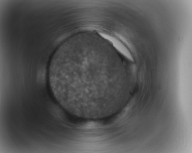 X0000088200111200705292040