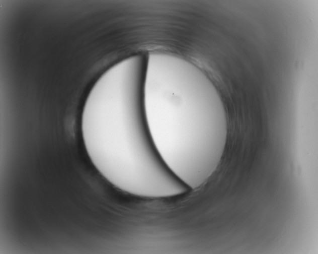 X0000088200112200705292040