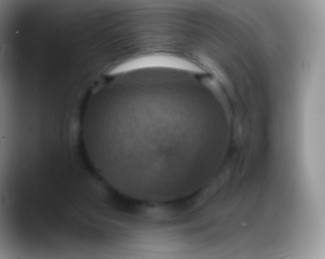 X0000088200113200705292040