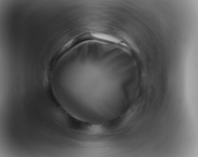 X0000088200114200705292040