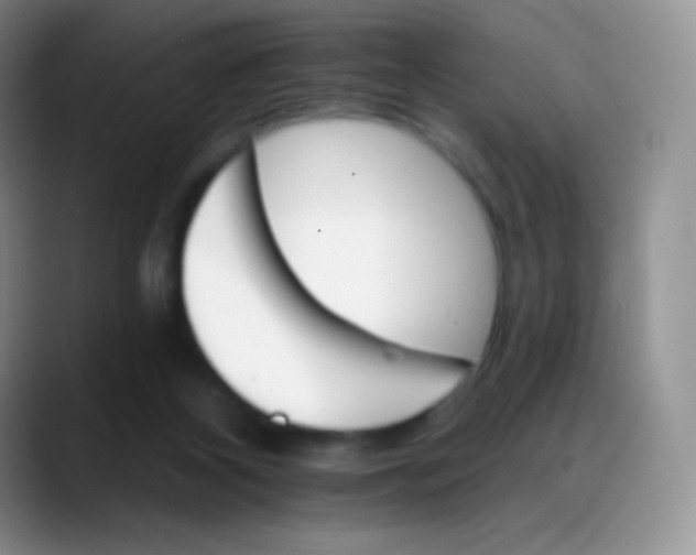 X0000088200116200705292040