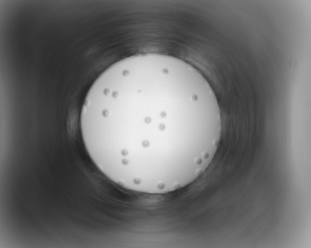 X0000088200118200705292040