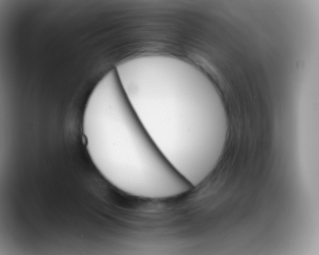 X0000088200119200705292040