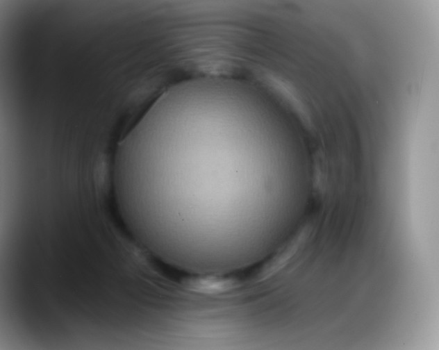 X0000088200121200705292040