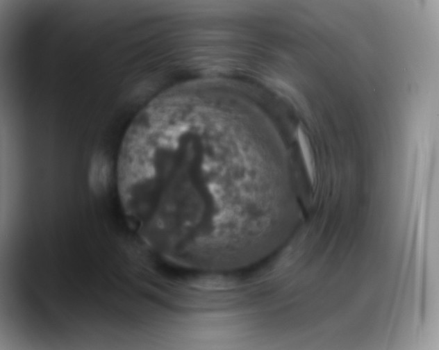 X0000088200123200705292040