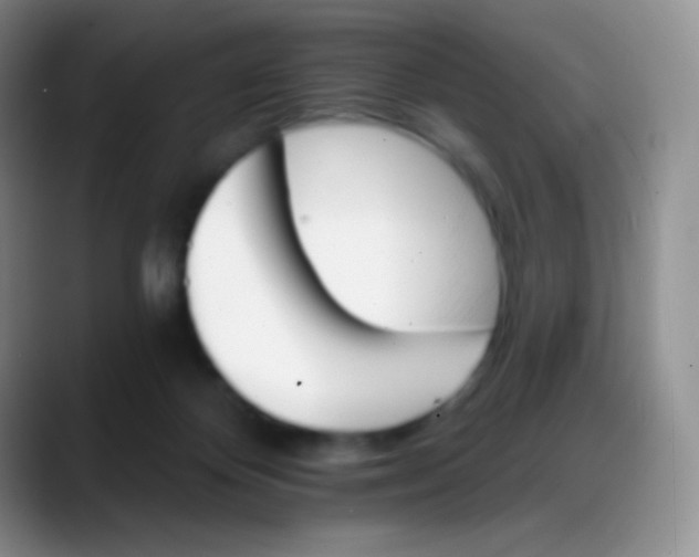 X0000088200124200705292040