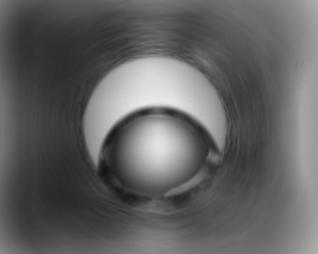 X0000088200125200705292040