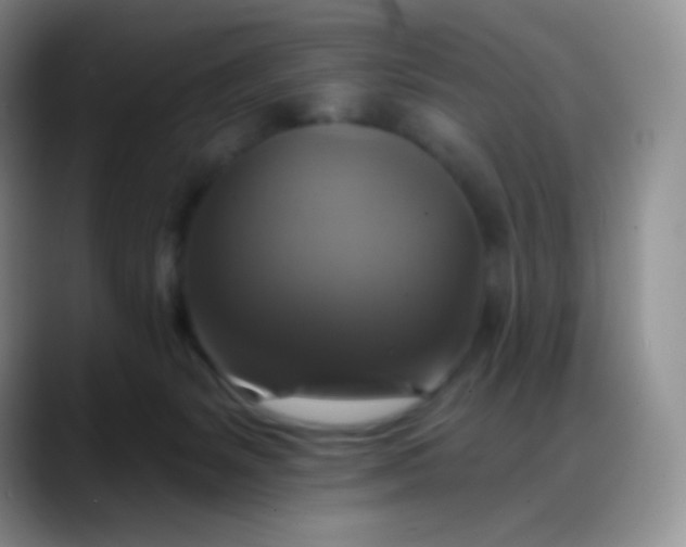 X0000088200127200705292040