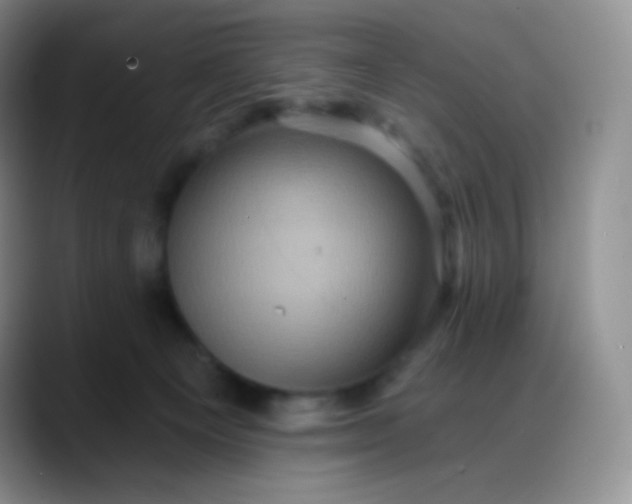 X0000088200129200705292040