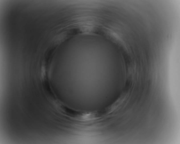 X0000088200130200705292040