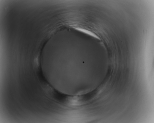 X0000088200131200705292040