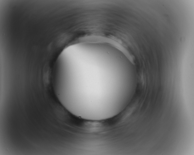 X0000088200133200705292040