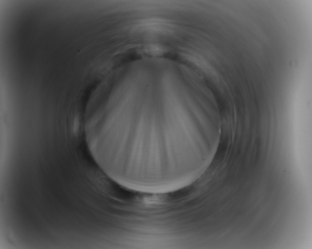 X0000088200134200705292040