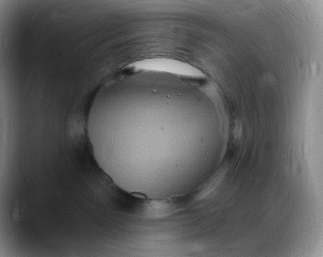 X0000088200141200705292040