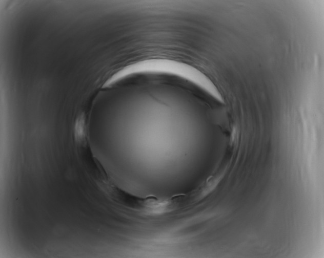 X0000088200143200705292040