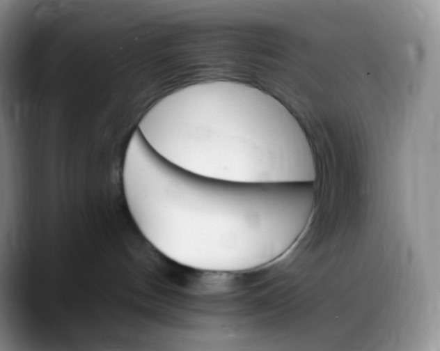 X0000088200144200705292040