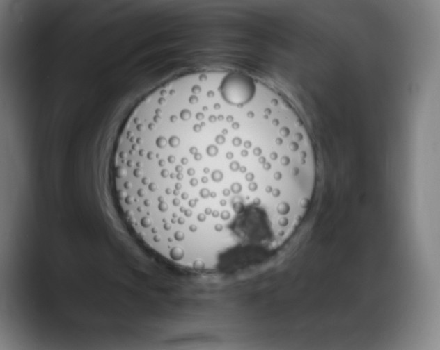 X0000088200145200705292039