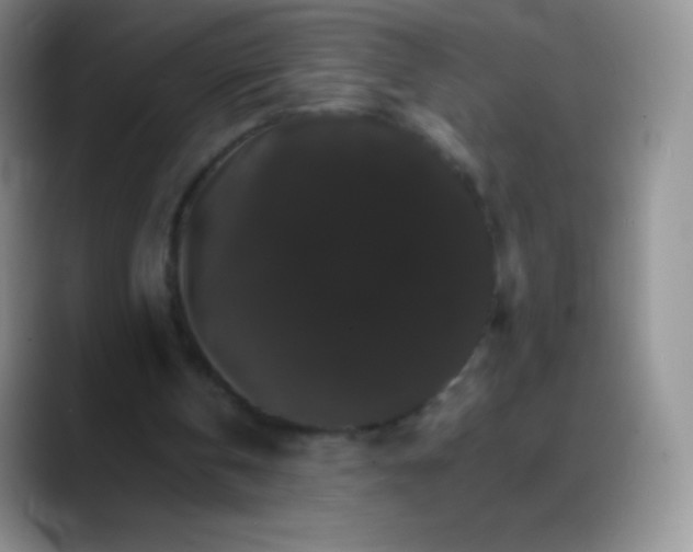 X0000088200146200705292039