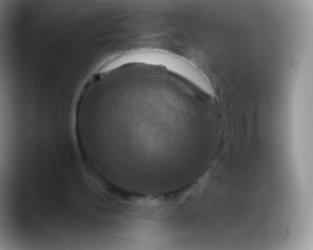 X0000088200148200705292039