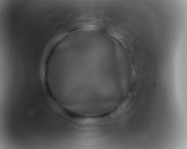 X0000088200149200705292039